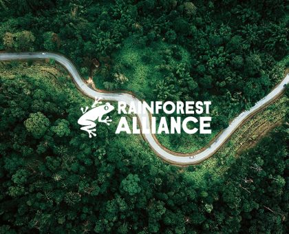 Rainforests Alliance training