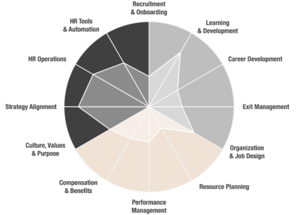 Employee Experience Assessment