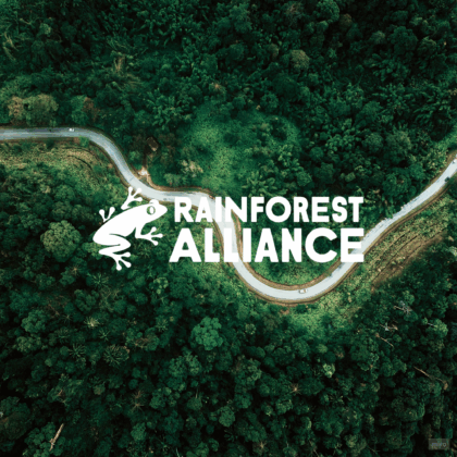 Rainforest Alliance training